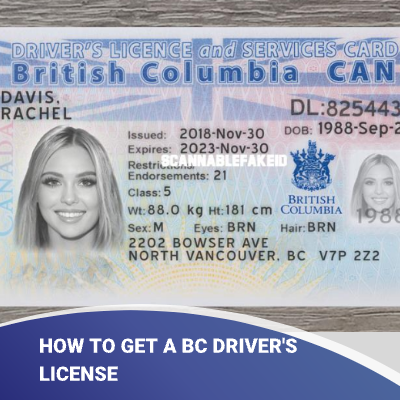 How To Get A BC Driver S License Full Guide