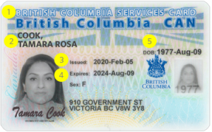 How to Apply for BC ID Card in Canada in 2023