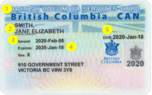 How to Apply for BC ID Card in Canada in 2023