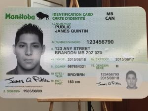 How to Apply for a Manitoba ID Card [2024]