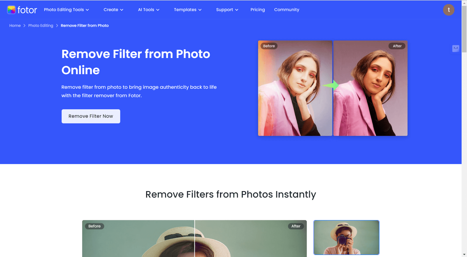 fotor filter remover