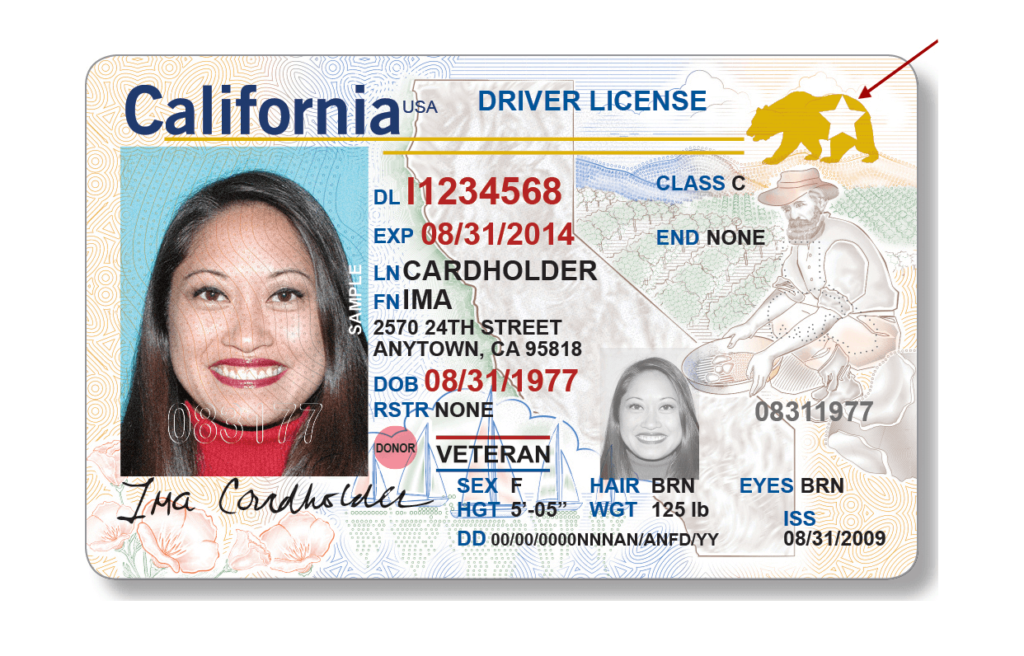 california drivers license