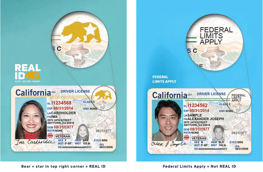 california drivers license vs real ID