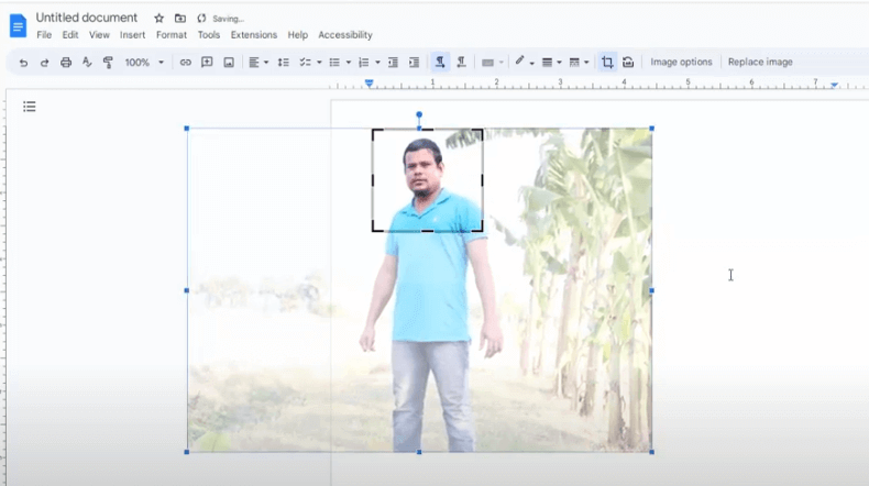 crop a picture using google docs