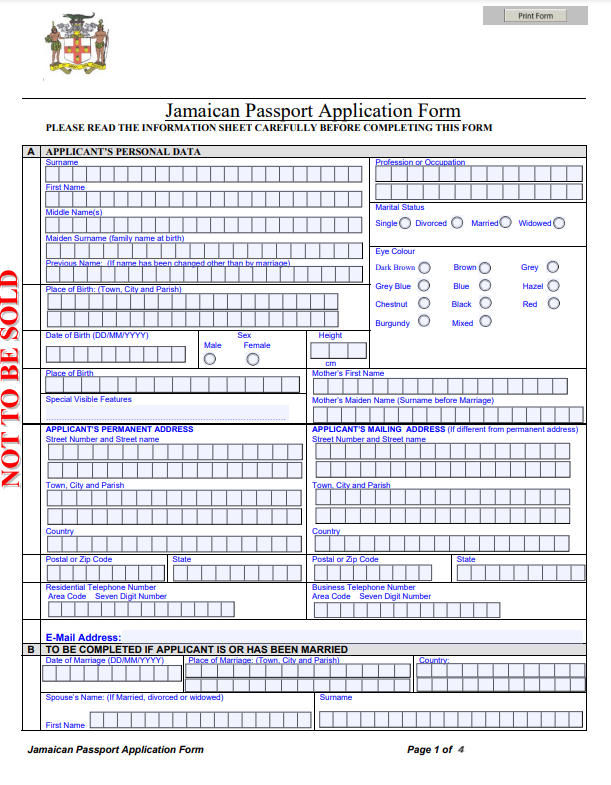 passport application form