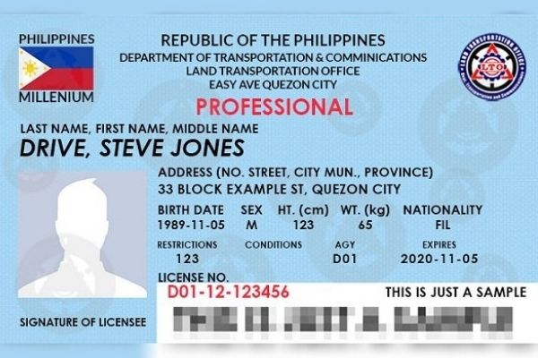 Professional Driver's License