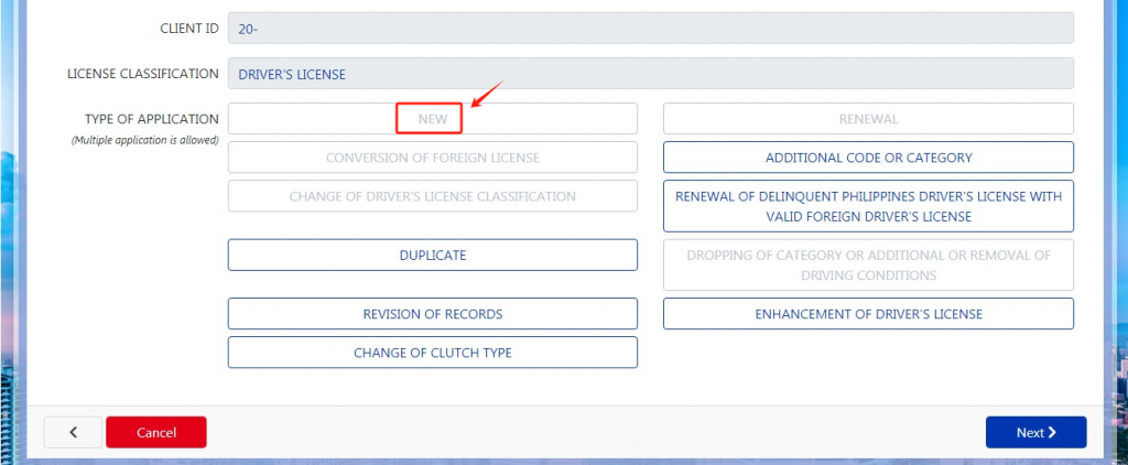 Click on "New" for application for professional driver's license