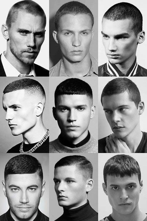 buzz cut hairstyle showcase