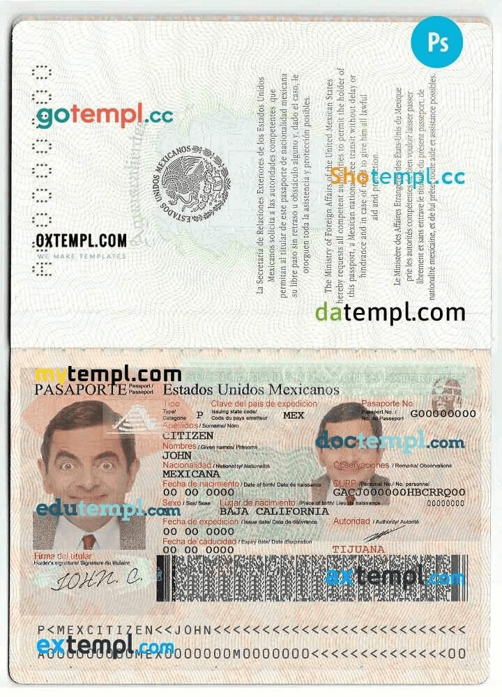 mexico passport book