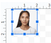 size a picture to 2x2 on google docs