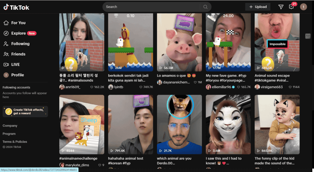 TikTok Animal Filters