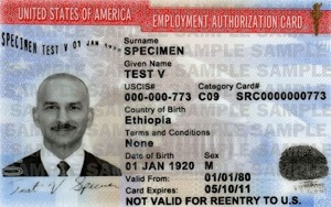 us temorary work visa